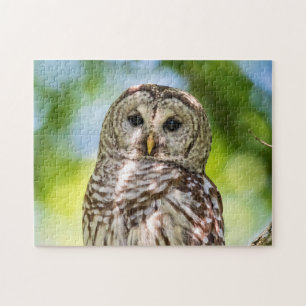 Quebra-cabeça Barred Owl