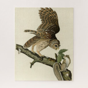 Quebra-cabeça Barred Owl, os Pássaros da América de John James A