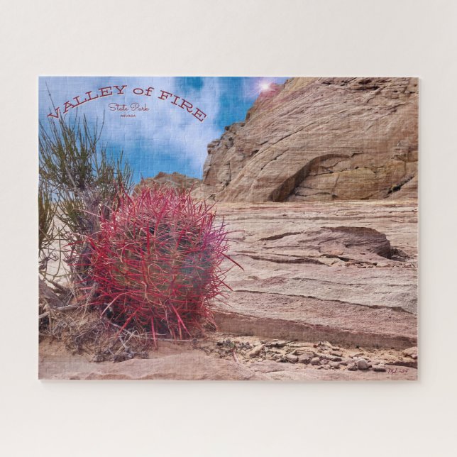 Quebra-cabeça Barrel Cactus, Valley of Fire State Park, Nevada (Horizontal)