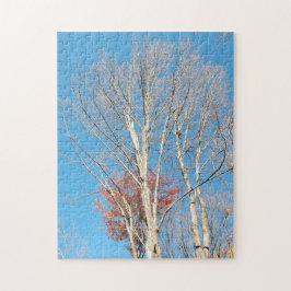 Quebra-cabeça Barren Trees