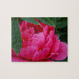 Quebra-cabeça Bashful Pink Peony