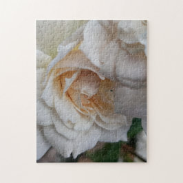 Quebra-cabeça Bashful Roses