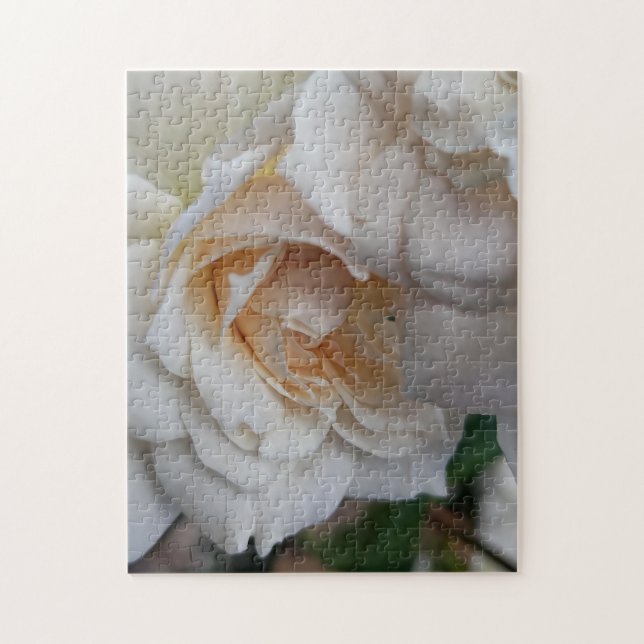 Quebra-cabeça Bashful Roses (Vertical)