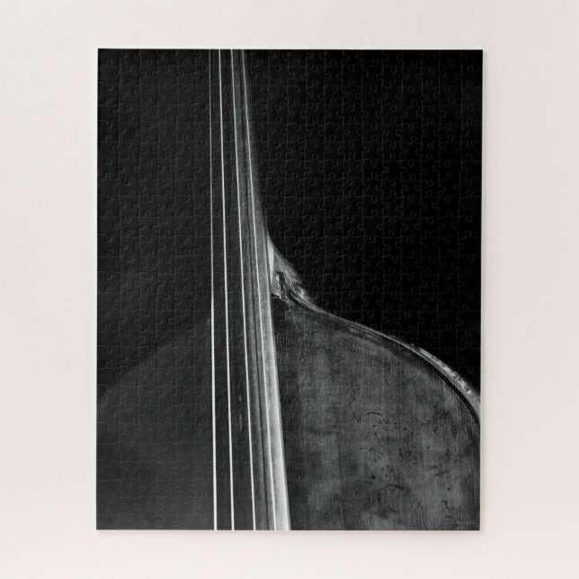 Quebra-cabeça Bass 5 jpcnm 16x20 520pc (Vertical)