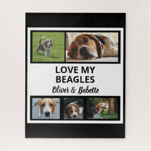 Quebra-cabeça Beagle lança uma coleção personalizada de fotos de