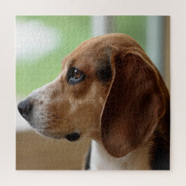 Quebra-cabeça Beagle Sonhando Dia