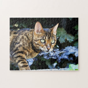 Quebra-cabeça Beautiful Bengal Cat