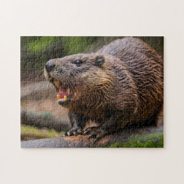 Quebra-cabeça Beaver Jigsera (Horizontal)