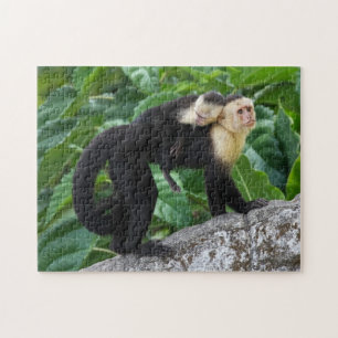 Quebra-cabeça Bebê adulto do carregando do macaco do Capuchin e