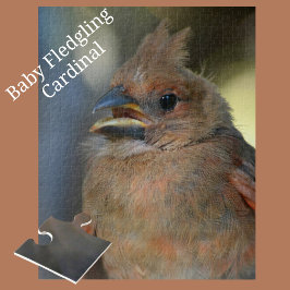 Quebra-cabeça Bebê Cardinal Pássaro Fechado Fotográfico