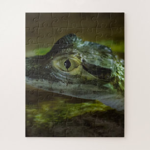 Quebra-cabeça Bebê Crocodilo Nadando na Água