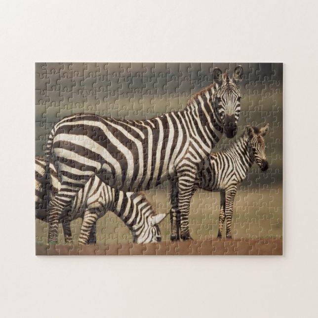 Quebra-cabeça Bebê de zebra-de-burchell com a mãe (Horizontal)