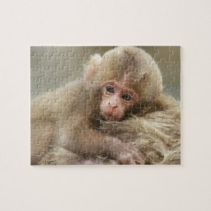 Quebra-cabeça Bebê do Macaco da Neve, Jigokudani, Nagano, Japão