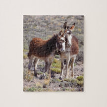 Bebê e Mama Burro