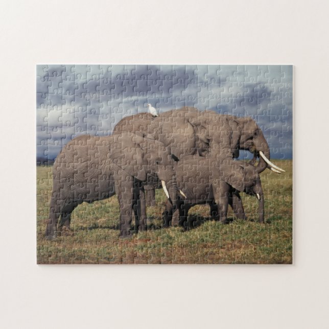 Quebra-cabeça Bebê Elefante Africano com família (Horizontal)