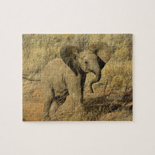 Quebra-cabeça Bebê Elefante Africano, Loxodonta Africana,