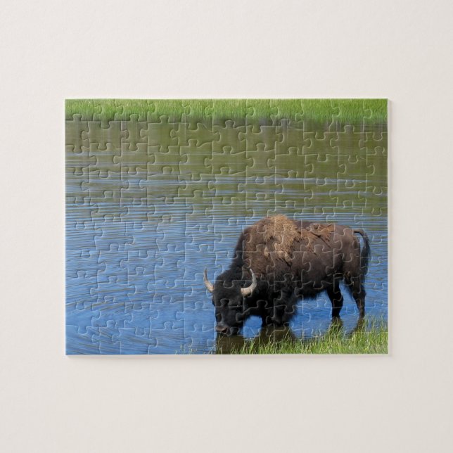 Quebra-cabeça Bebendo de Bison Yellowstone no Lago (Horizontal)