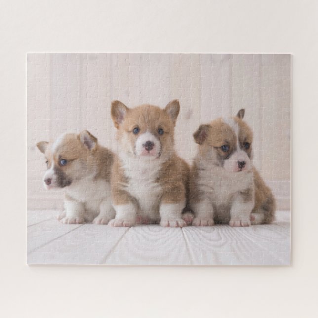 Quebra-cabeça Bebês Mais Pobres | 3 Bebês-Corgis (Horizontal)