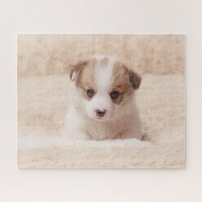 Quebra-cabeça Bebês Mais Pobres | Baby Corgi (Horizontal)