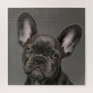 Quebra-cabeça Bebês Mais Pobres Buldogue francês