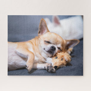 Quebra-cabeça Bebês Mais Pobres   Cão Chihuahua de cabelos verme