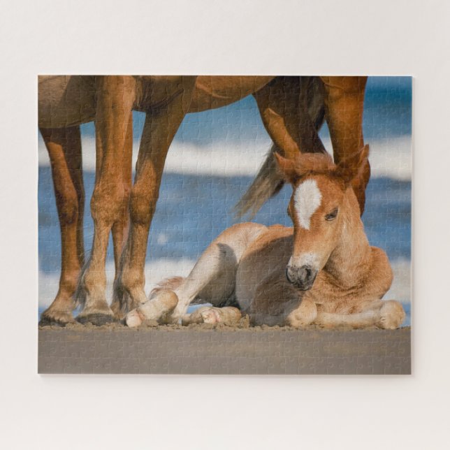 Quebra-cabeça Bebês Mais Pobres | Cavalo selvagem de Corolla rec (Horizontal)