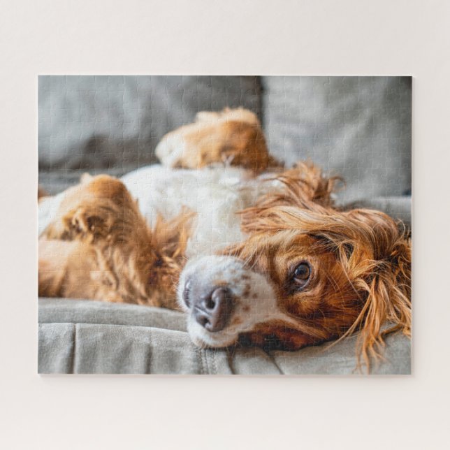 Quebra-cabeça Bebês Mais Pobres | Cocker Spaniel (Horizontal)