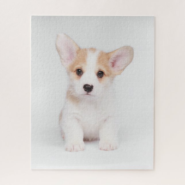 Quebra-cabeça Bebês Mais Pobres | Corgi Branco (Vertical)