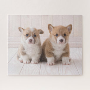 Quebra-cabeça Bebês Mais Pobres Dois Bebês De Corgão