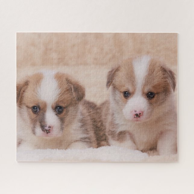 Quebra-cabeça Bebês Mais Pobres | Duas Estuppias De Corgi (Horizontal)