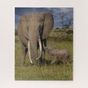 Quebra-cabeça Bebês Mais Pobres Elefante Amama Com Bebê