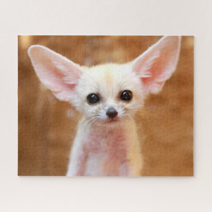 Quebra-cabeça Bebês Mais Pobres Fennec Fox
