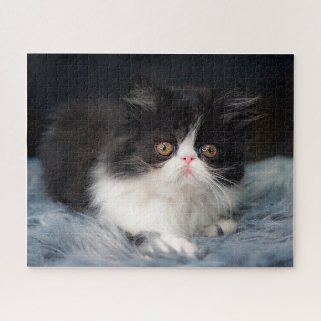 Quebra-cabeça Bebês Mais Pobres | Fluffy B&W Kitten (Horizontal)