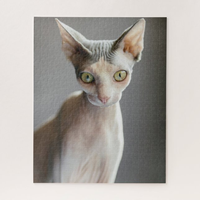Quebra-cabeça Bebês Mais Pobres | Gato esfingx (Vertical)
