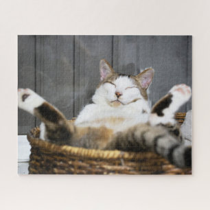 Quebra-cabeça Bebês Mais Pobres Gato na cama