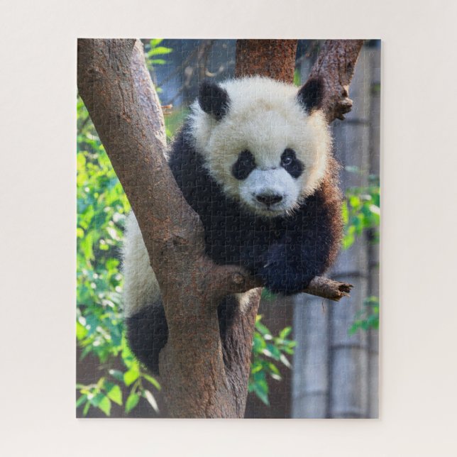 Quebra-cabeça Bebês Mais Pobres | Giant Panda Cub (Vertical)