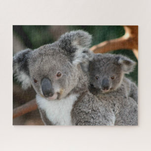Quebra-cabeça Bebês Mais Pobres Koala e Joey