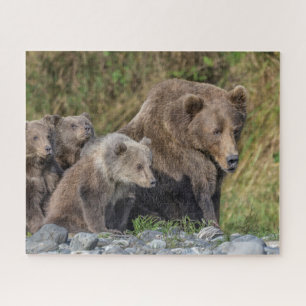 Quebra-cabeça Bebês Mais Pobres Kodiak Mama Bear & Cubs