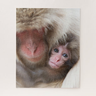 Quebra-cabeça Bebês Mais Pobres Macaco-neve