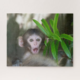 Quebra-cabeça Bebês Mais Pobres   Macaco surpreso na neve