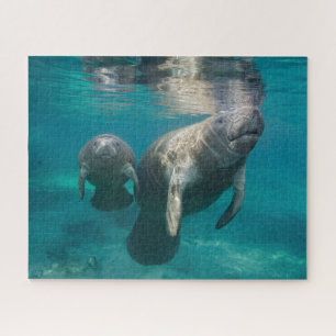 Quebra-cabeça Bebês Mais Pobres Manateio e Bebê