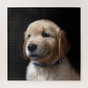Quebra-cabeça Bebês Mais Pobres Ouro Retriever Puppy