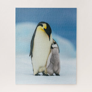 Quebra-cabeça Bebês Mais Pobres Pintinho Imperador Pinguim