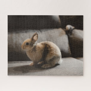 Quebra-cabeça Bebês Mais Pobres Rabbit anão neerlandês