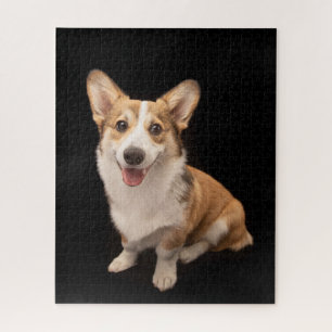 Quebra-cabeça Bebês Mais Pobres Sorriso De Corgi Puppy