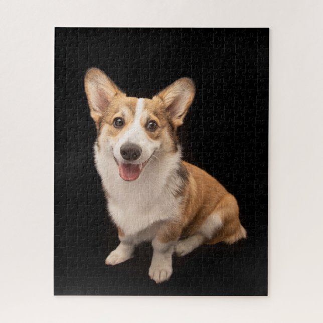 Quebra-cabeça Bebês Mais Pobres | Sorriso De Corgi Puppy (Vertical)