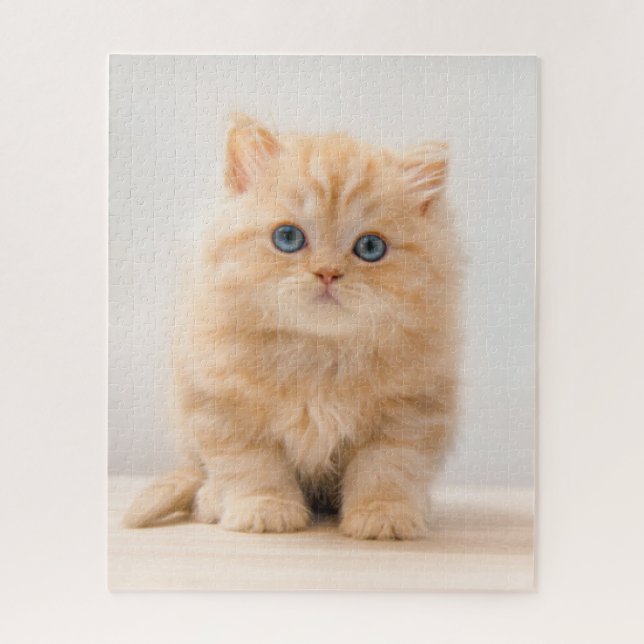Quebra-cabeça Bebês Mais Pobres | Um Gatinho De Palha Britânico (Vertical)