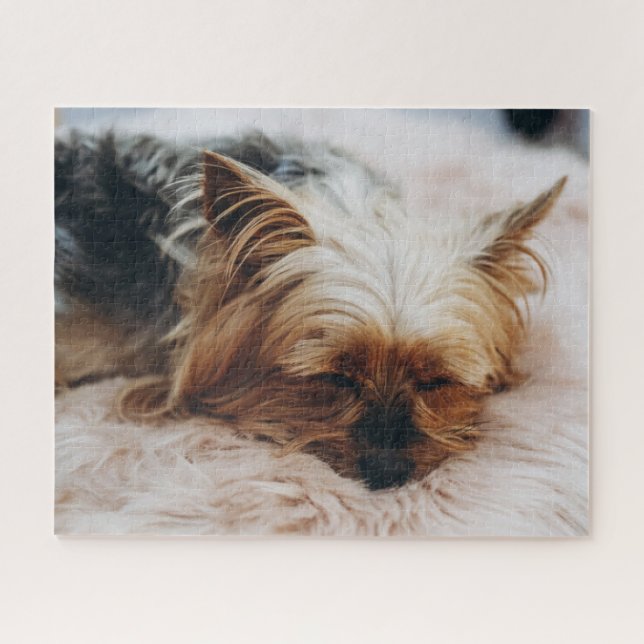 Quebra-cabeça Bebês Mais Pobres | Yorkshire Terrier (Horizontal)