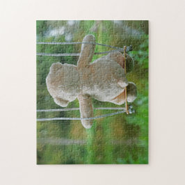 Quebra-cabeça Beer op schommel vanaf de rug.