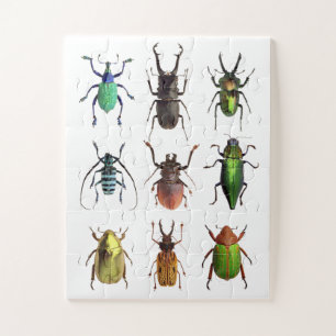 Quebra-cabeça Beetlemania Beautiful Beetle Bugs